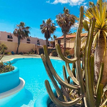 Surf And Chill Bungalow 70 Lejlighed Parque Holandes Eksteriør billede