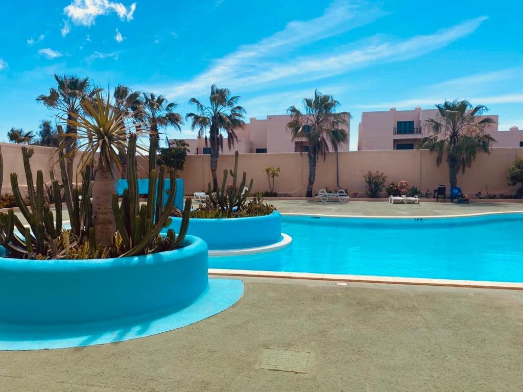 Surf And Chill Bungalow 70 Lejlighed Parque Holandes Eksteriør billede