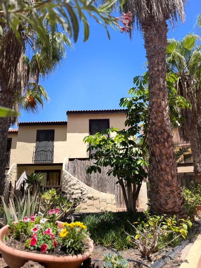 Surf And Chill Bungalow 70 Lejlighed Parque Holandes Eksteriør billede